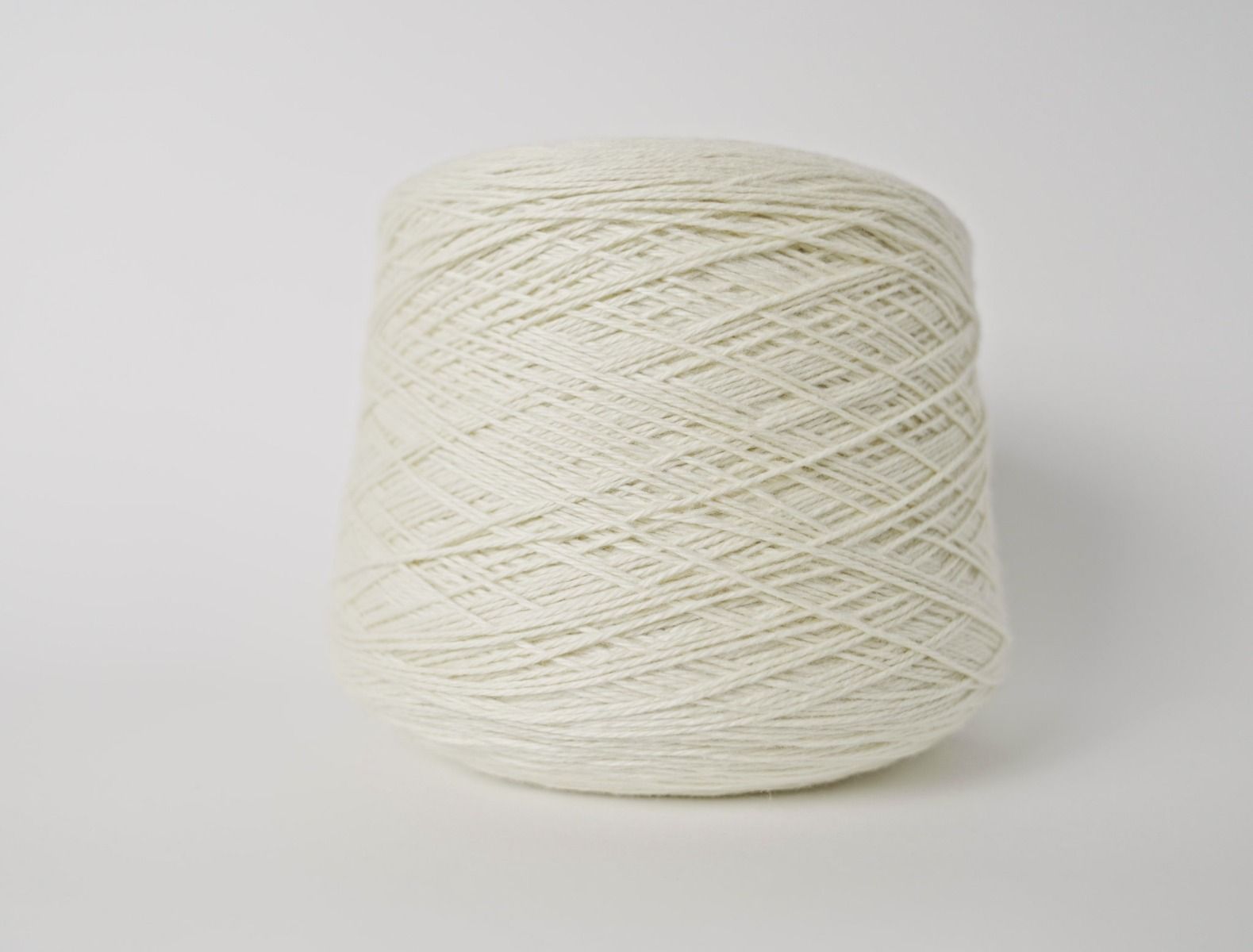 Tollegno 1900 Lana Gatto - Naturale